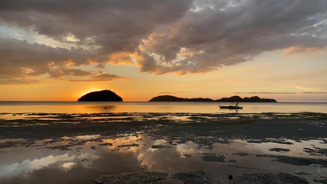 Amila Dive Beach Resort Sipalay Exterior photo